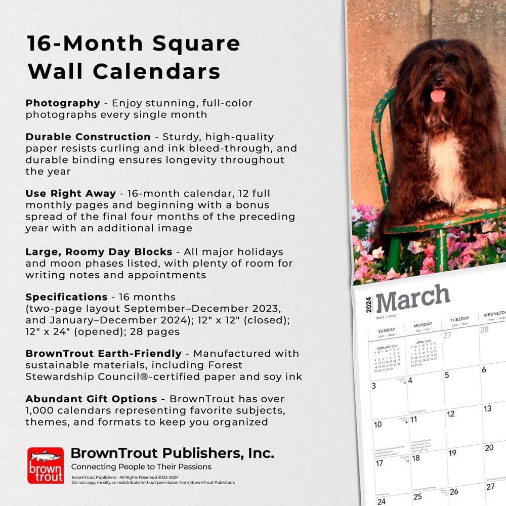 Havanese 2024 Wall Calendar Fourth Alternate Image width=&quot;1000&quot; height=&quot;1000&quot;