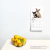 image Chihuahuas 2024 Mini Wall Calendar Third Alternate Image width=&quot;1000&quot; height=&quot;1000&quot;