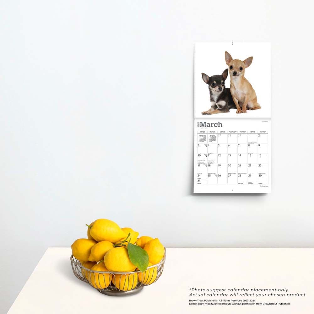 Chihuahuas 2024 Mini Wall Calendar Third Alternate Image width=&quot;1000&quot; height=&quot;1000&quot;