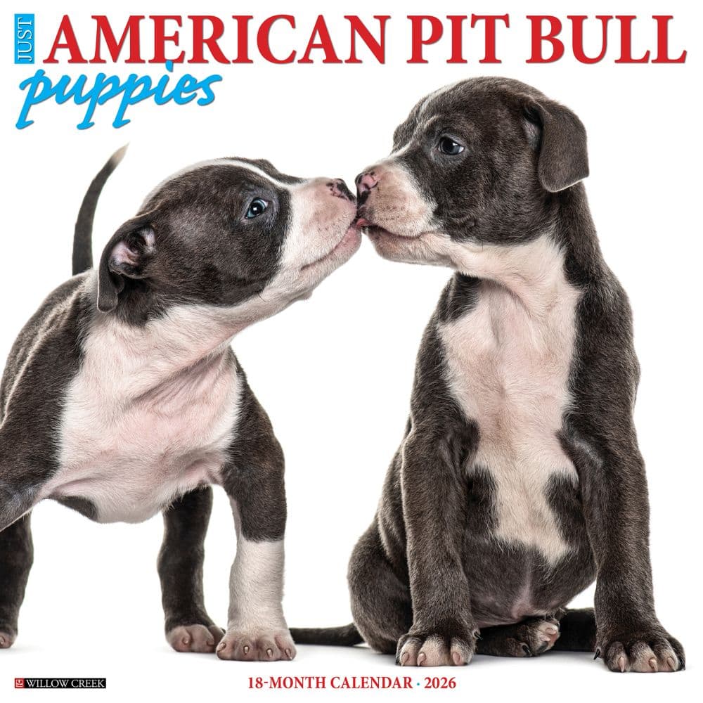Pit Bull Terrier Puppies Just 2026 Wall Calendar Main Image