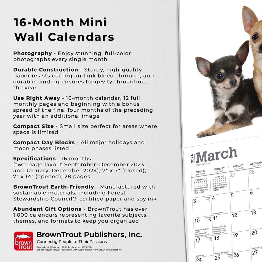 Chihuahuas 2024 Mini Wall Calendar Fourth Alternate Image width=&quot;1000&quot; height=&quot;1000&quot;