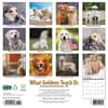 image What Goldens Teach Us 2026 Wall Calendar First Alternate Image