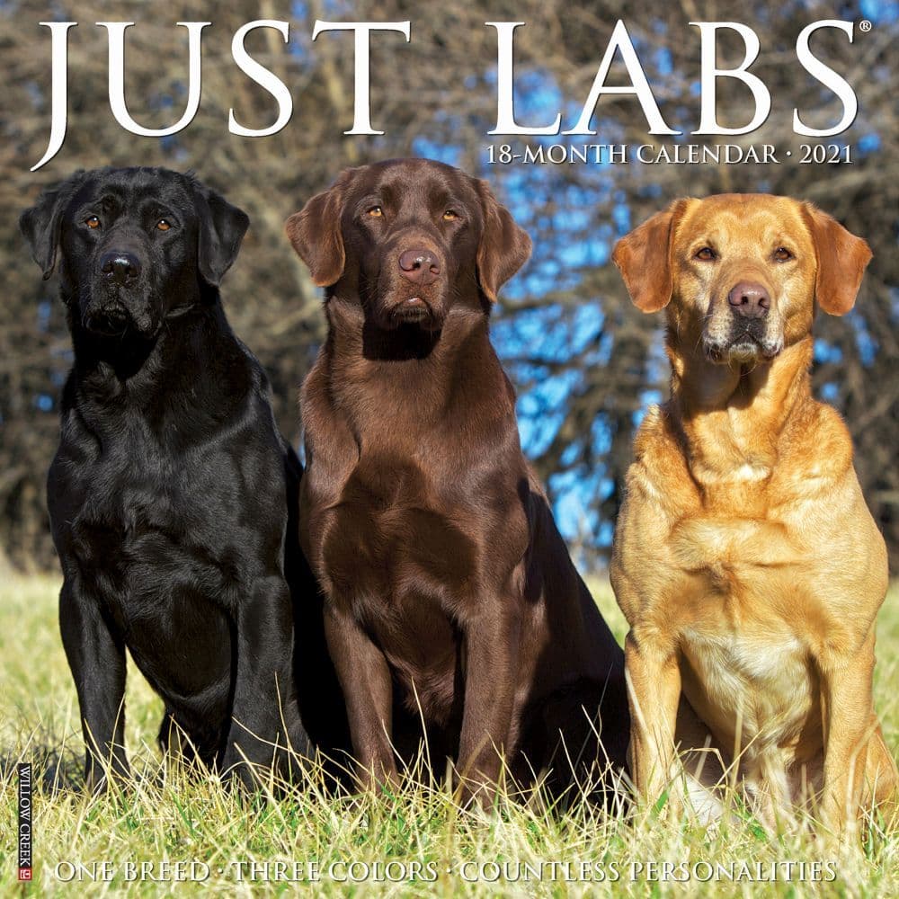 Lab Just Wall Calendar