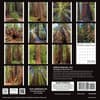 image California Redwoods 2024 Wall Calendar First Alternate Image width=&quot;1000&quot; height=&quot;1000&quot;