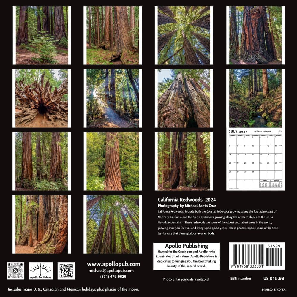 California Redwoods 2024 Wall Calendar First Alternate Image width=&quot;1000&quot; height=&quot;1000&quot;