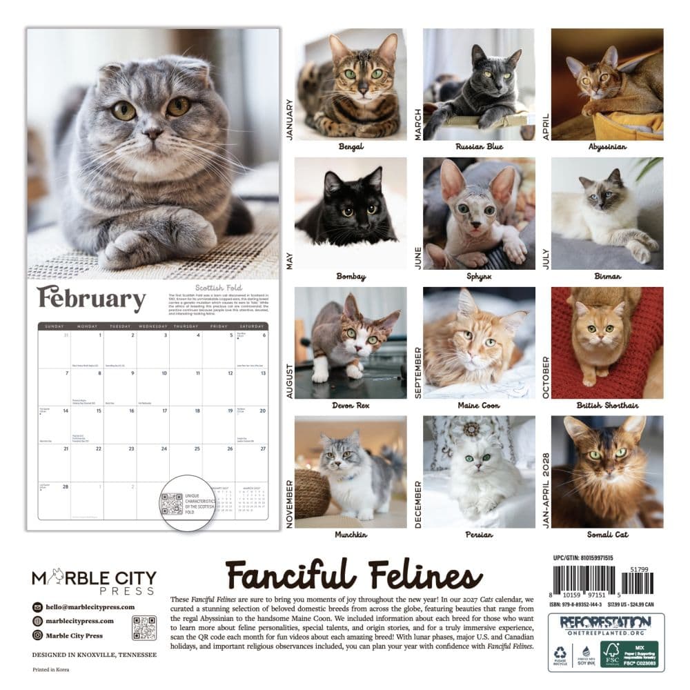 Cats Fanciful Felines 2027 Wall Calendar First Alternate Image