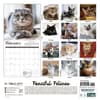 image Cats Fanciful Felines 2027 Wall Calendar First Alternate Image