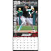 image MLB Arizona Diamondbacks 2025 Wall Calendar Third Alternate Image