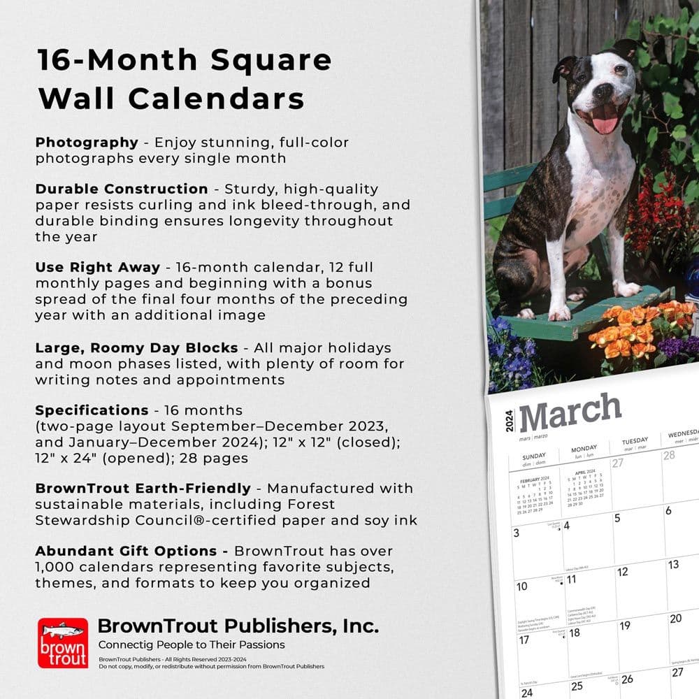 Pit Bull Terriers 2024 Wall Calendar