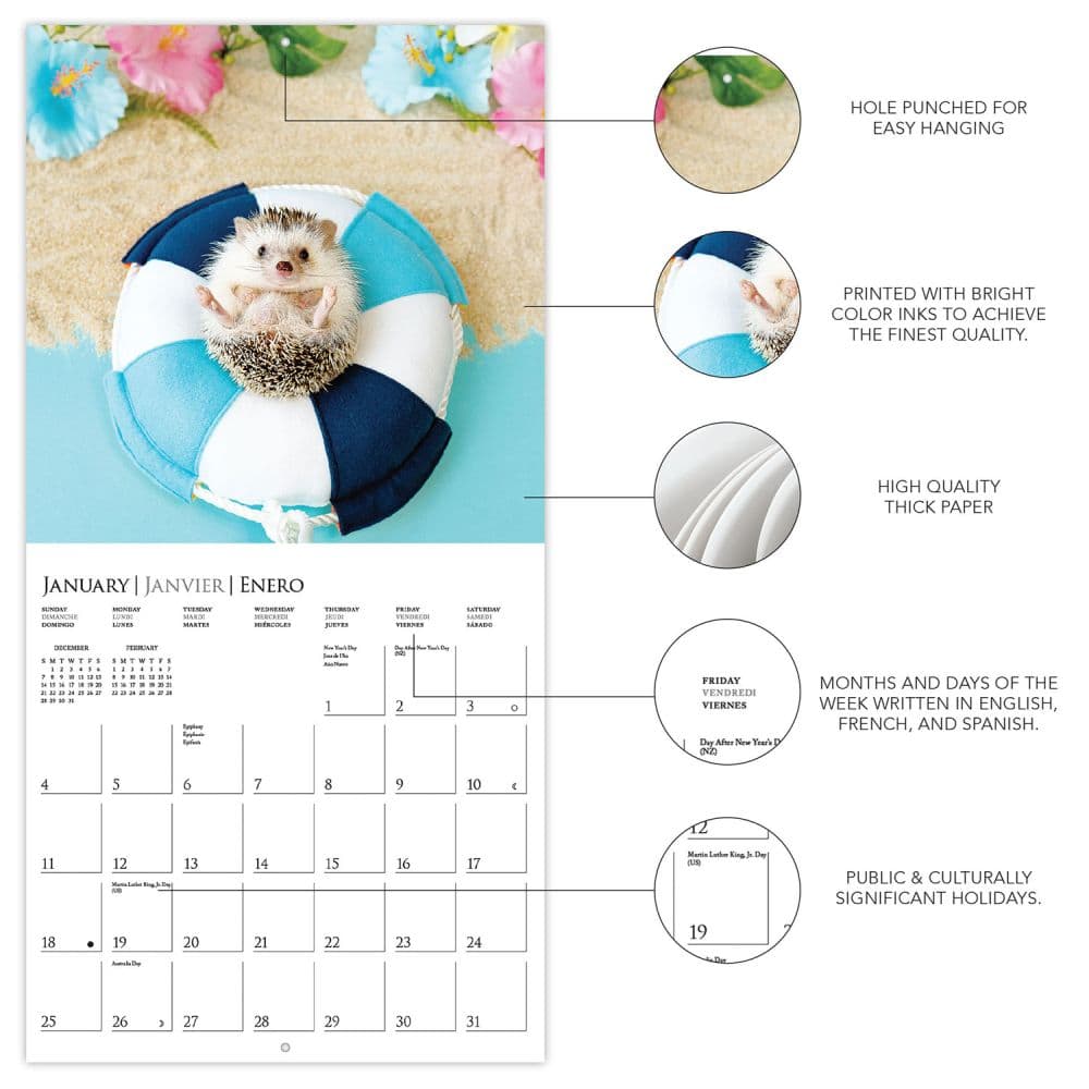 Happiest Hedgehogs 2026 Mini Wall Calendar Second Alternate Image
