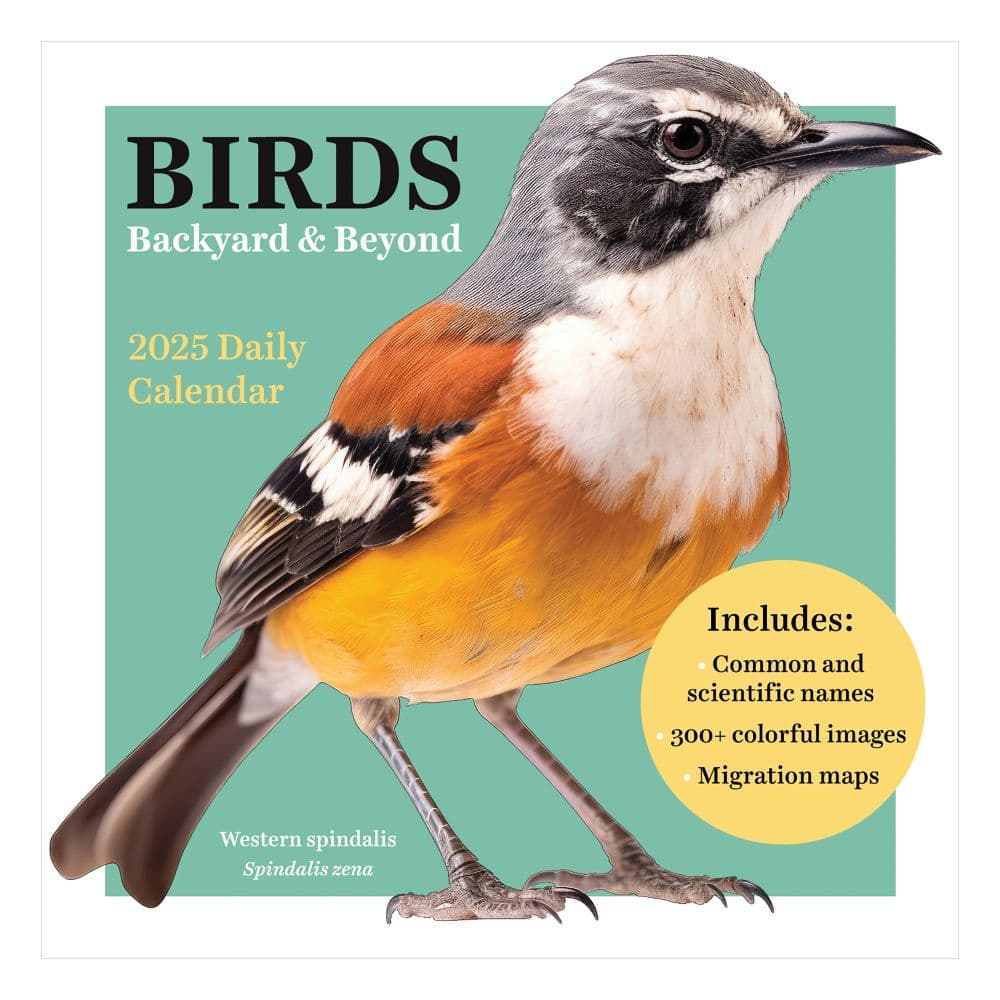 Birds Backyard And Beyond 2025 Desk Calendar Fourth Alternate Image