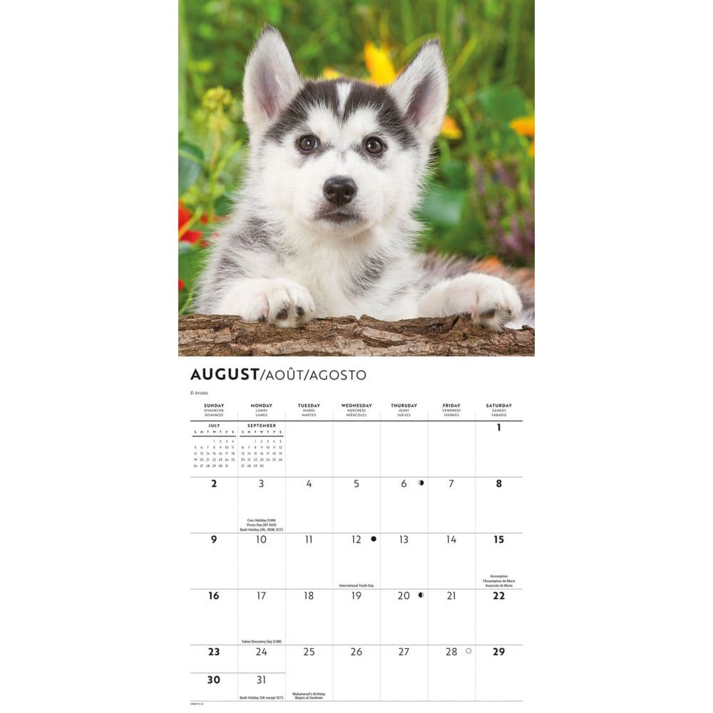 Siberian Husky Puppies 2026 Mini Wall Calendar Fourth Alternate Image