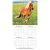 image Horses Photo 2025 Wall Calendar