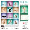 image Yoga Dogs 2024 Wall Calendar First Alternate Image width=&quot;1000&quot; height=&quot;1000&quot;