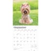 image Yorkshire Terriers 2025 Wall Calendar