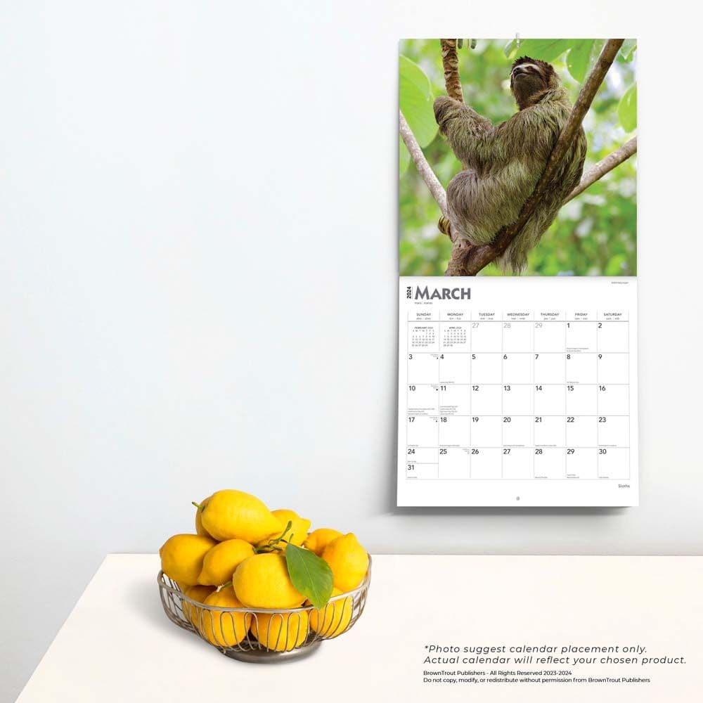 Sloths 2024 Wall Calendar