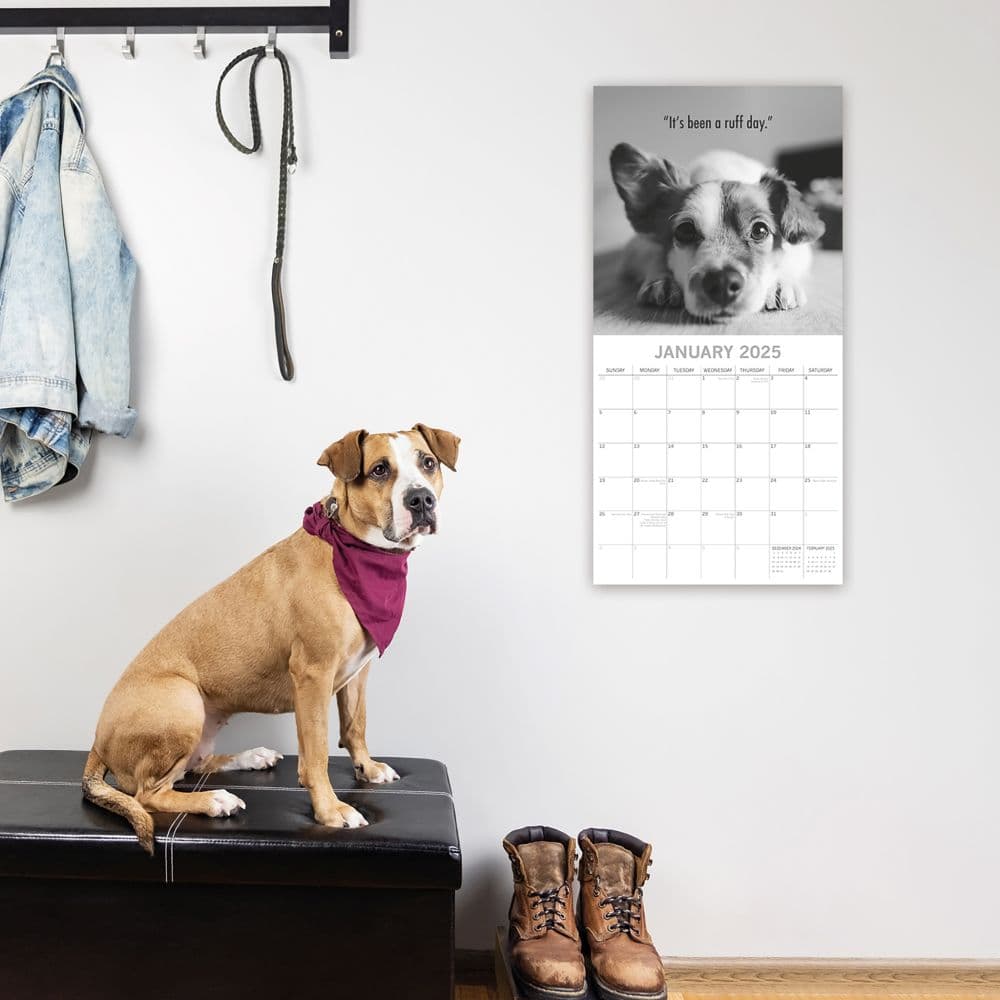 Mutts 2025 Wall Calendar