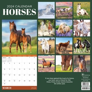 Horses 2024 Wall Calendar - Calendars.com