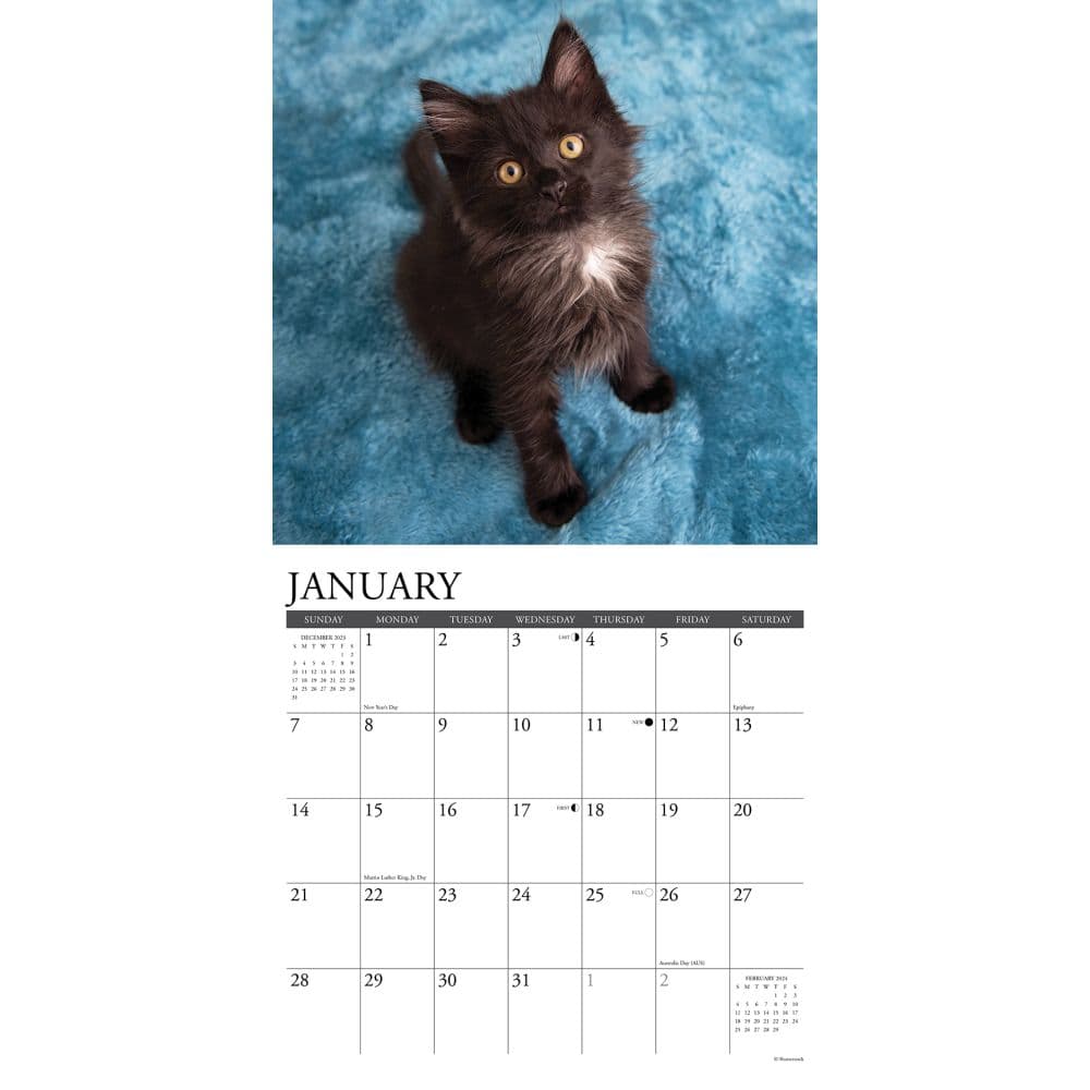 Black Kitties 2024 Wall Calendar - Calendars.com