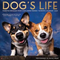 image Dogs Life 2026 Wall Calendar Main Image