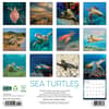 image Sea Turtles 2026 Wall Calendar