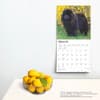 image Chow Chows 2025 Wall Calendar