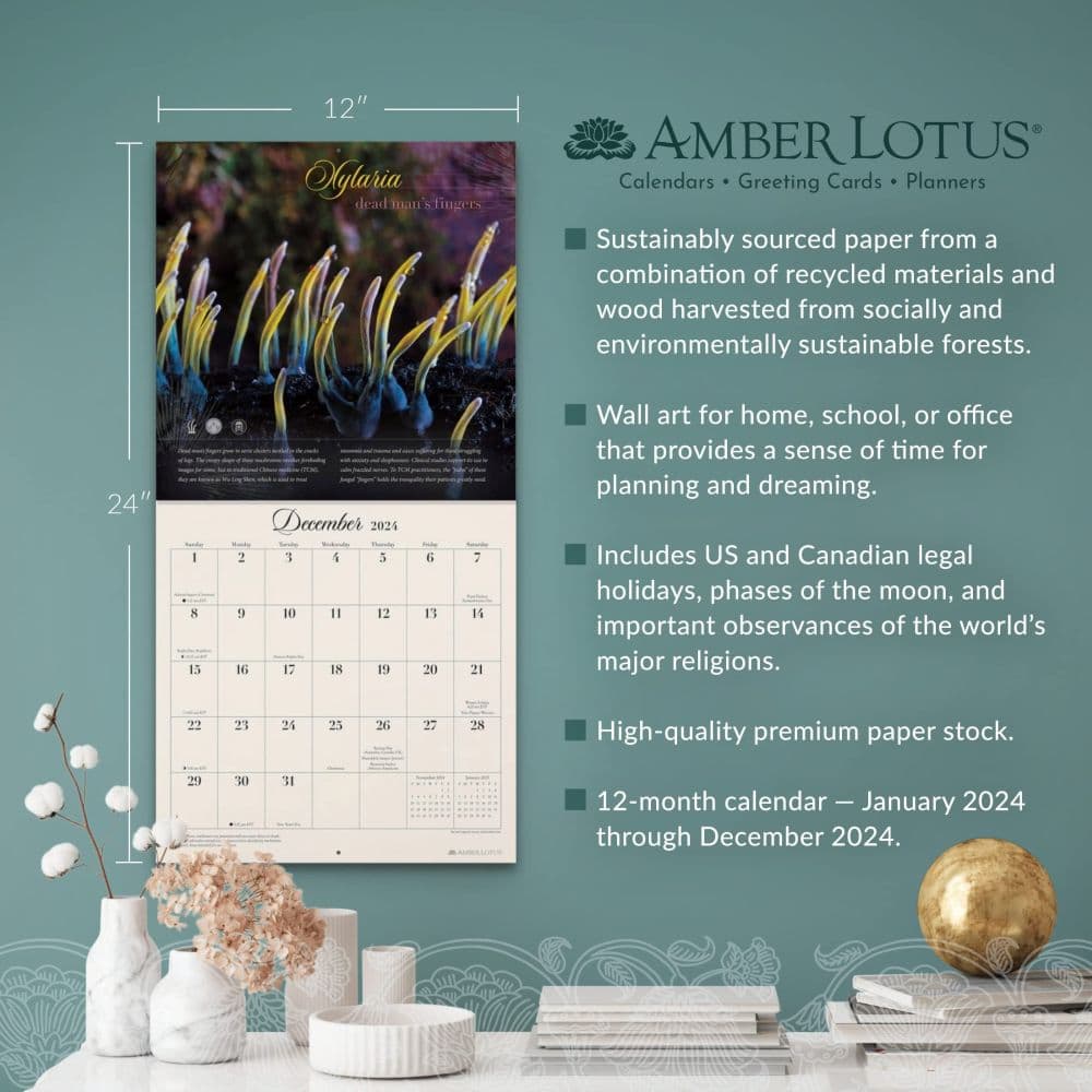 Miraculous Mushroom 2024 Wall Calendar