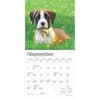 image Boxer Puppies 2025 Mini Wall Calendar Third Alternate Image width=&quot;1000&quot; height=&quot;1000&quot;