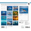 image Dolphins WWF 2026 Wall Calendar First Alternate Image