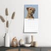 image Border Terriers 2025 Wall Calendar Alt5