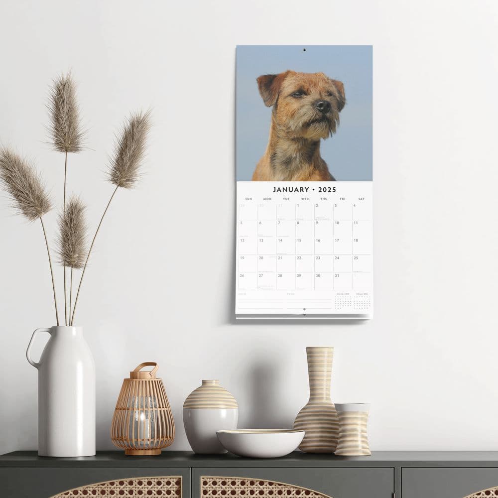 Border Terriers 2025 Wall Calendar Alt5