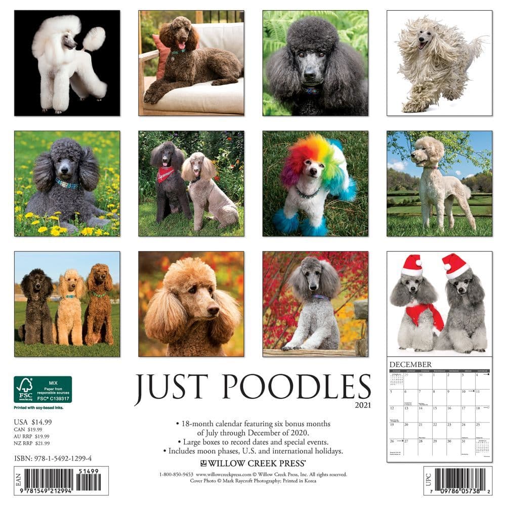 Just Poodles Wall Calendar