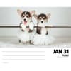 image Just Corgis 2025 Desk Calendar Second Alternate Image