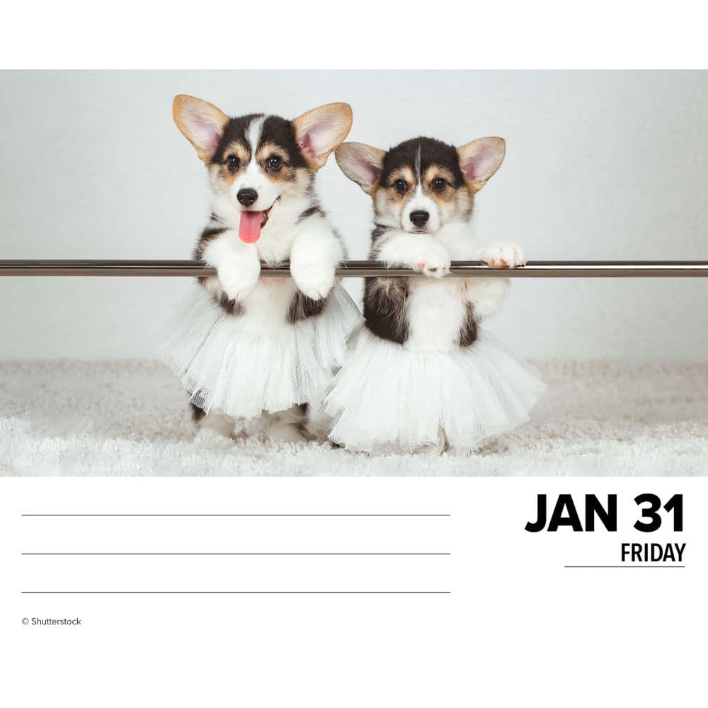 Just Corgis 2025 Desk Calendar Second Alternate Image