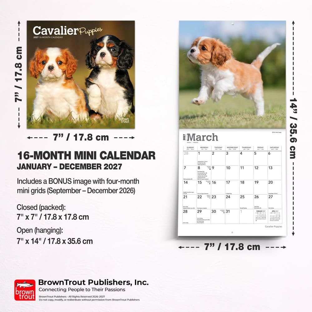 Cavalier King Charles Puppies 2027 Mini Wall Calendar Sixth Alternate Image