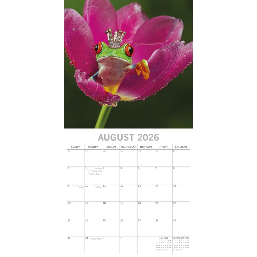 Fabulous Frogs 2026 Wall Calendar Third Alternate Image