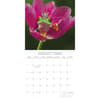image Fabulous Frogs 2026 Wall Calendar Third Alternate Image