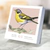 image Birds Backyard And Beyond 2025 Desk Calendar Third Alternate Image