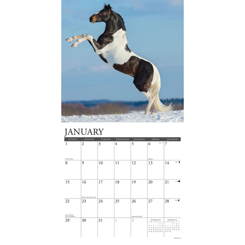 Horses Paint 2023 Wall Calendar - Calendars.com