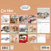 image Cat Naps 2026 Wall Calendar First Alternate Image