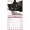 image Black Cats 2026 Wall Calendar Third Alternate Image