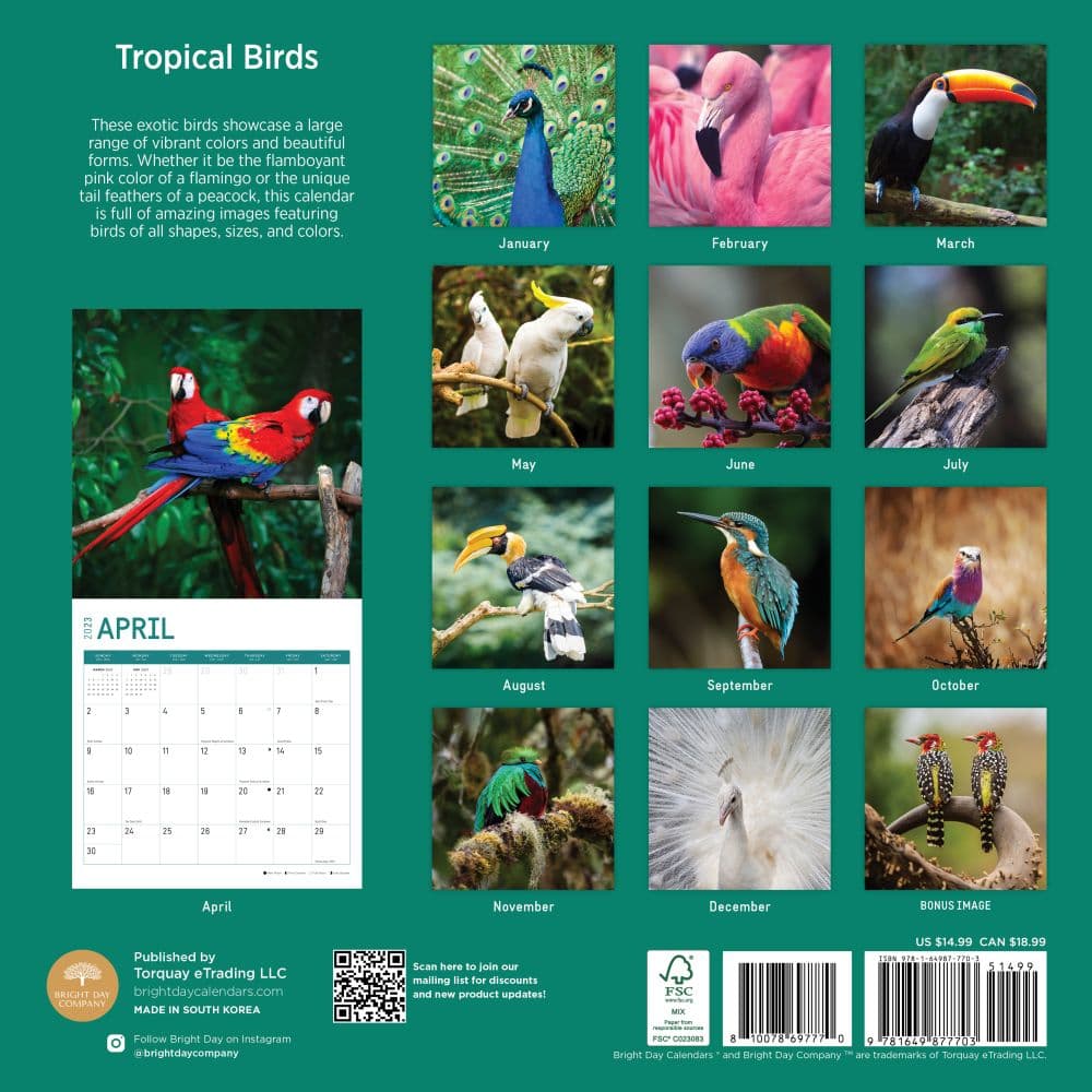 Tropical-Birds-2023-Wall-Calendar - Calendars.com