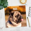 image Pugs 2025 Wall Calendar Alt5