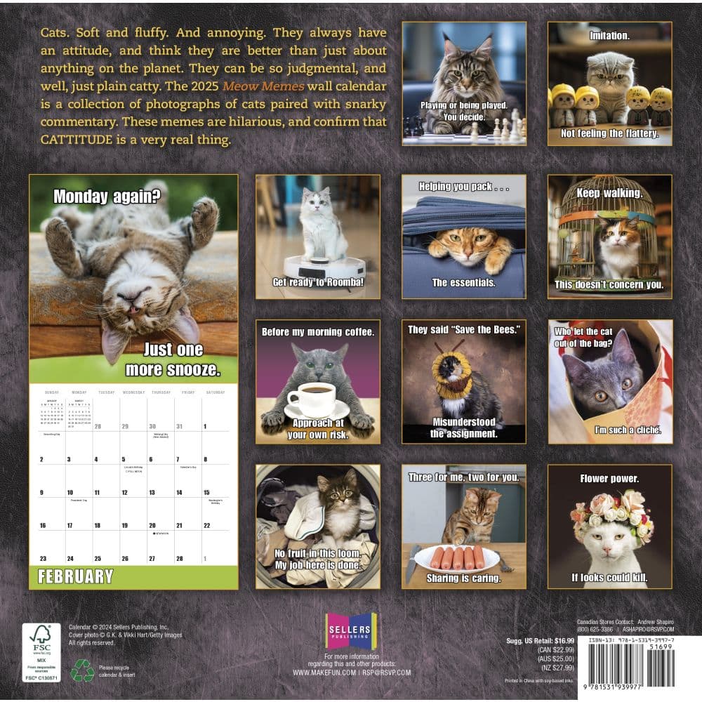 Meow Memes 2025 Wall Calendar