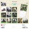 image Pandas 2025 Wall Calendar First Alternate Image