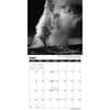 image Ansel Adams 2026 Wall Calendar Fifth Alternate Image