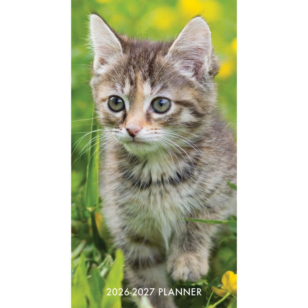 Cute As A Kitten 2 Year 2026 Pocket Planner Main Image