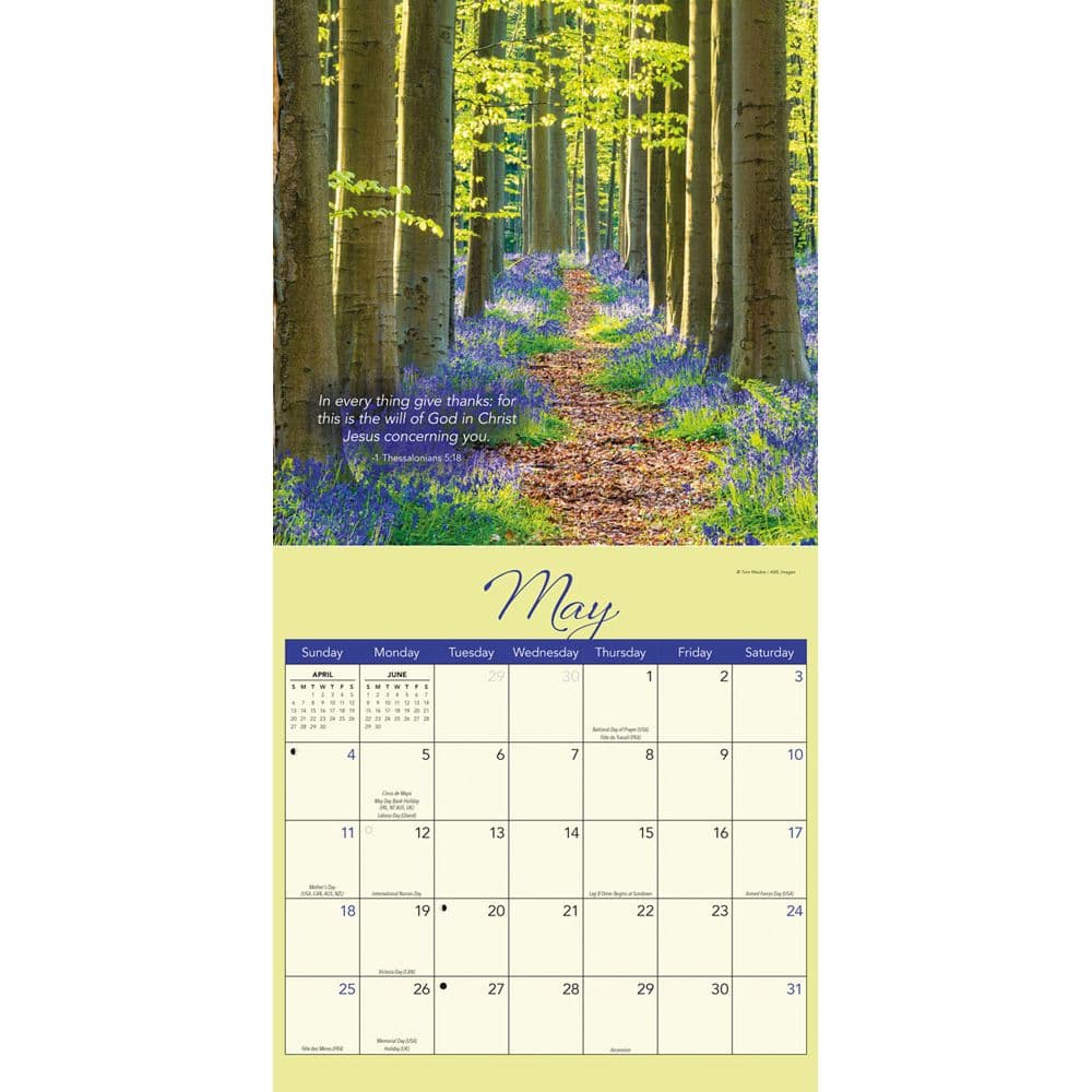 Blessings 2025 Wall Calendar Second Alternate Image width=&quot;1000&quot; height=&quot;1000&quot;