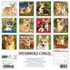 image Just Pembrook Corgis 2025 Wall Calendar First Alternate Image width=&quot;1000&quot; height=&quot;1000&quot;