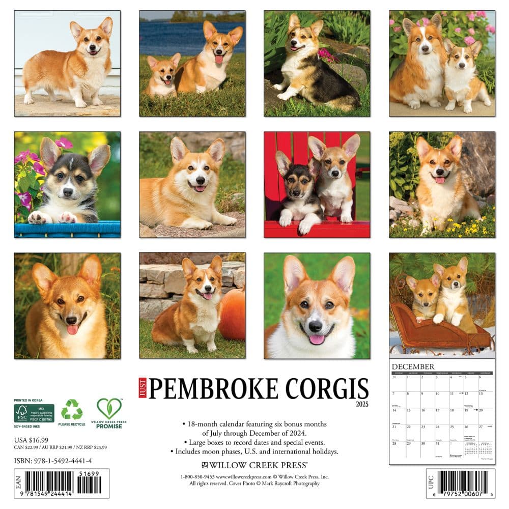 Just Pembrook Corgis 2025 Wall Calendar First Alternate Image width=&quot;1000&quot; height=&quot;1000&quot;